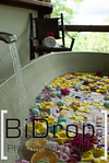 Toh Gouttenoire Bidrop.com (costaricaphotovideo)'s photo